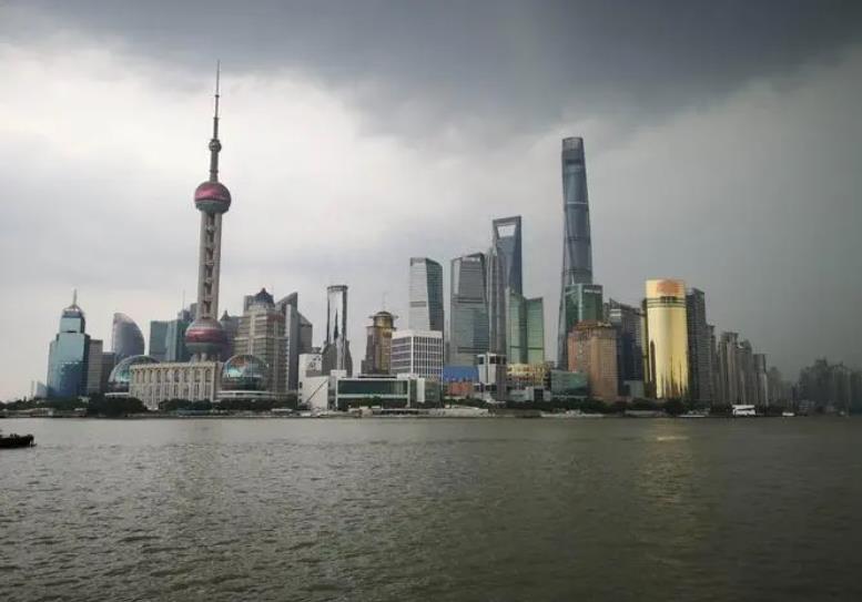 全国头号女警花王菲,王菲女警察