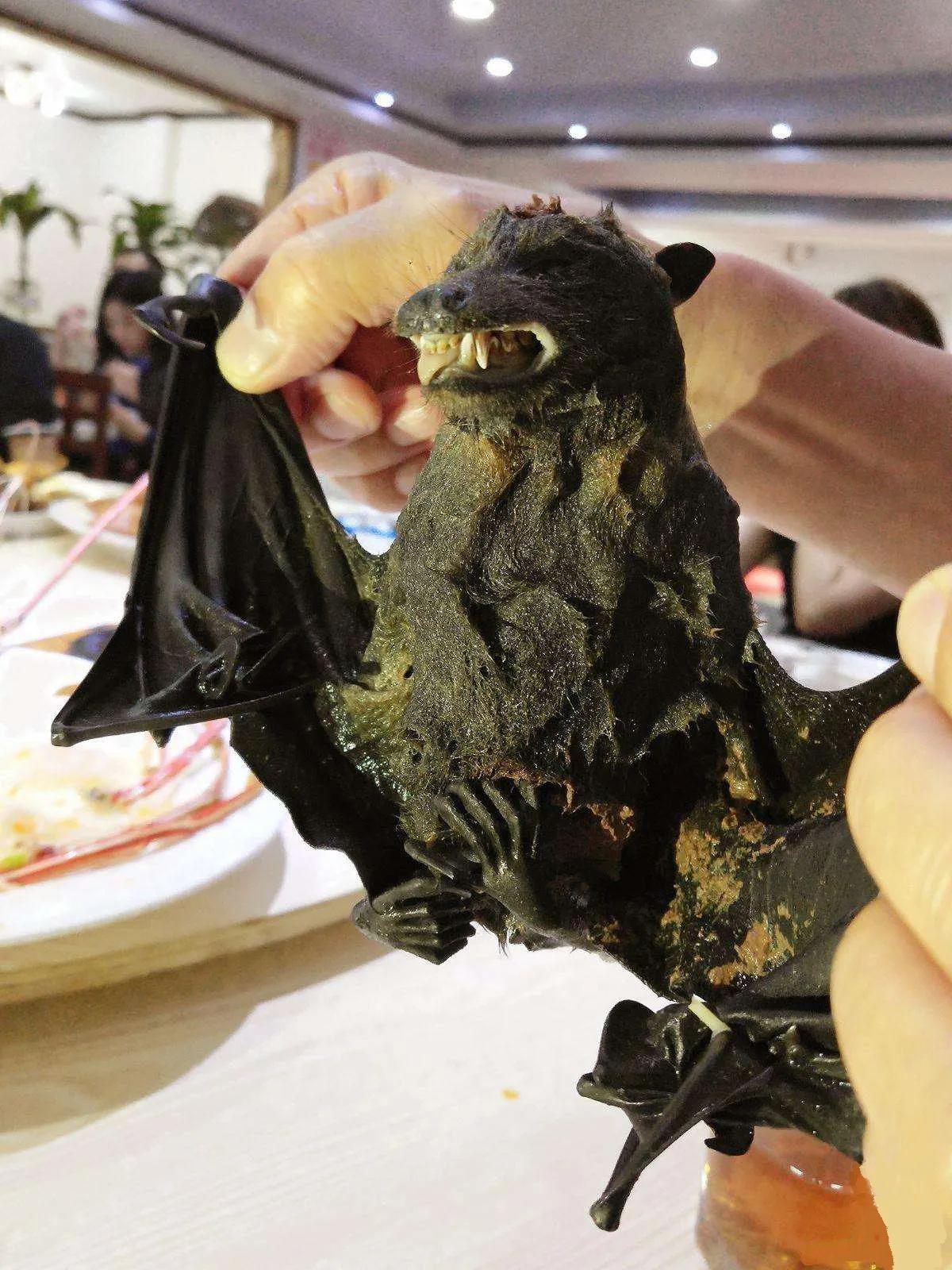 鍥藉榛戞殫缇庨鏂欑悊,鍥藉10閬撲护浜哄穿婧冪殑榛戞殫鏂欑悊