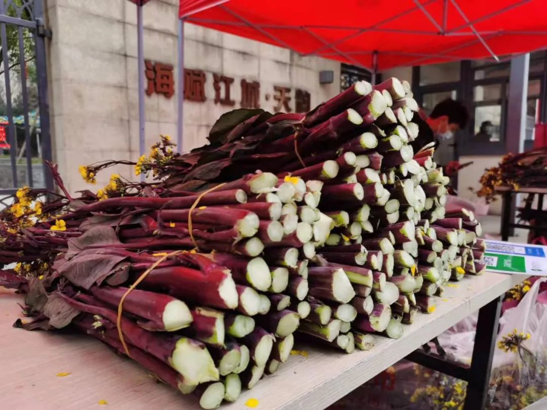 从零开始做个合格的物业,物业的第一修养