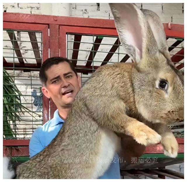 mrna疫苗的研发历程,mrna疫苗的发展趋势