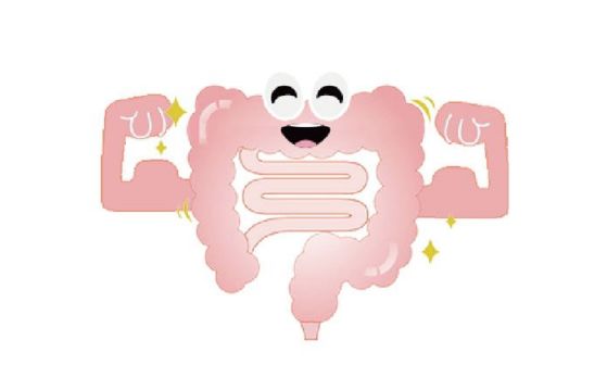 大便憋回去的危害,大便憋回去有危害吗