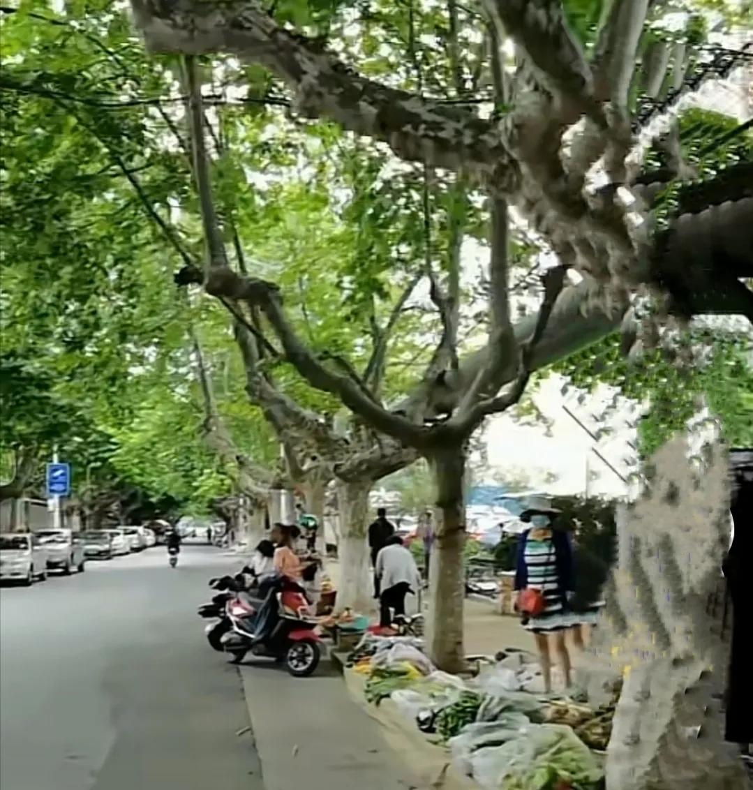 大风暴的效果是什么,大风暴来临的时候