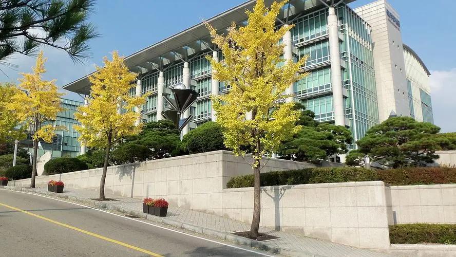 一年留学费用10万以下,一年10万以内留学可以去哪里