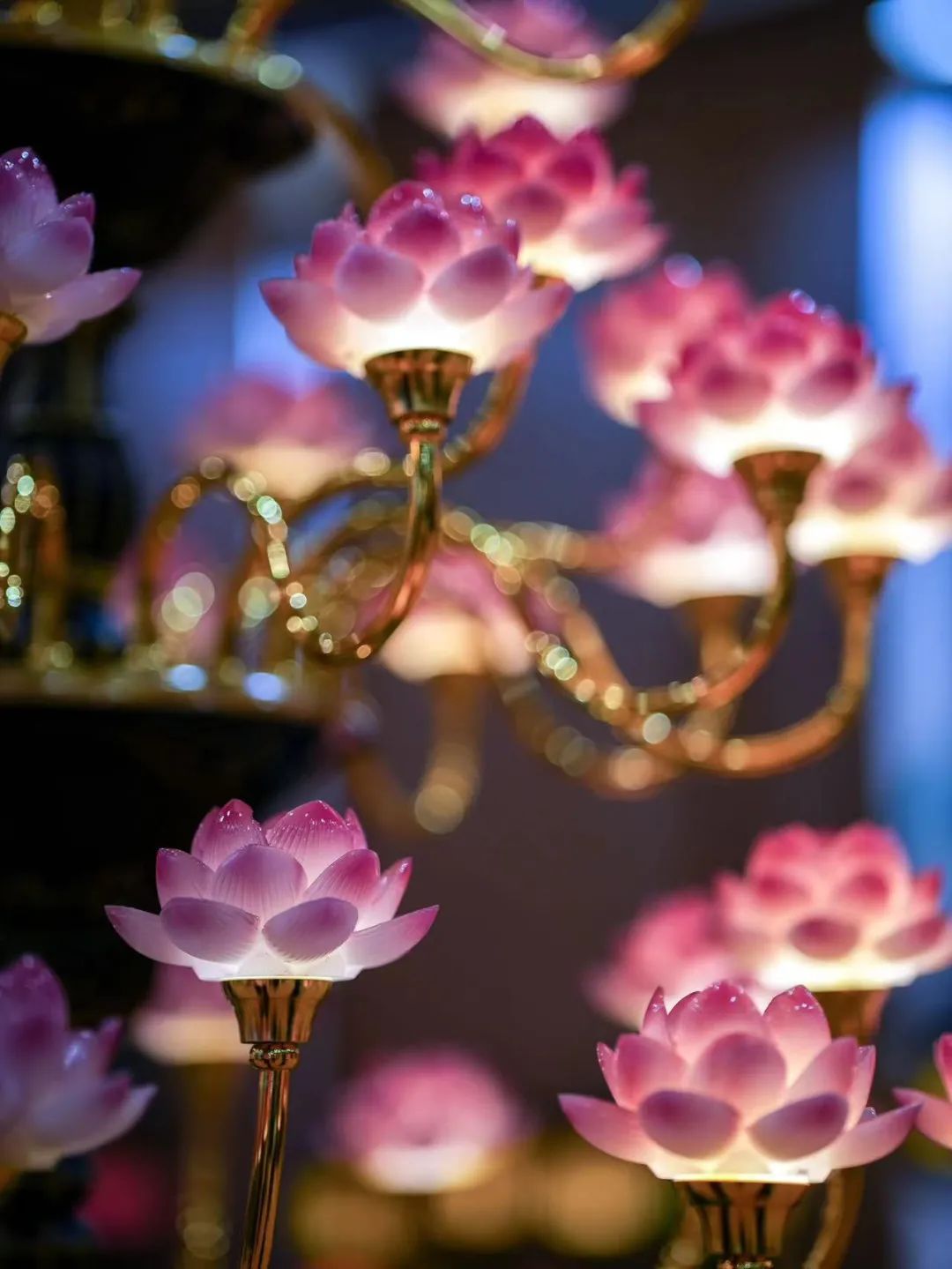 佛教常用100个名词,金刚经涉及的佛教名词解释