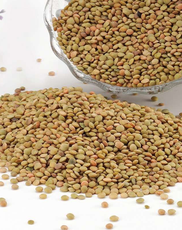 小扁豆是什么植物的种子,小扁豆植物是什么样子的