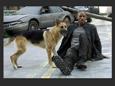 强推都市穿越文,推荐一本都市无限流小说排行榜