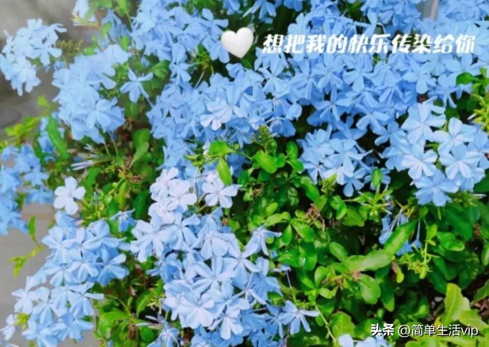 分享生活的方式和方法,分享生活日常怎么赚钱