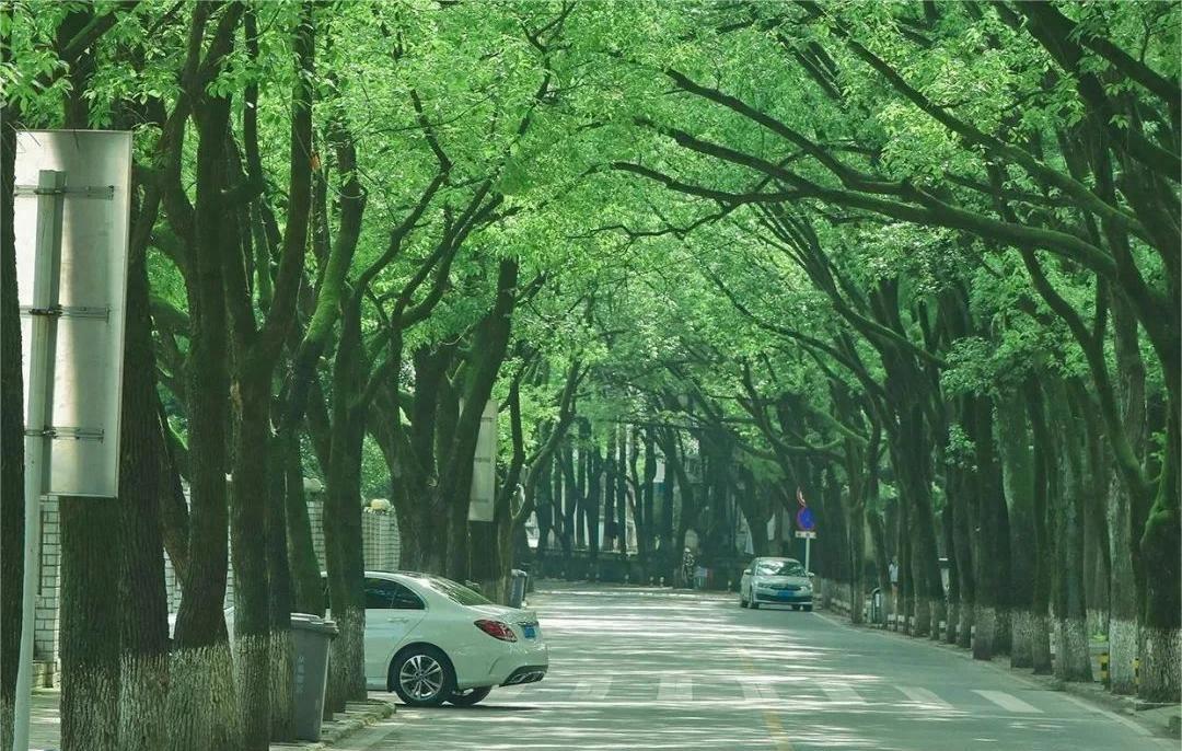 热辣按摩师激发女性渴望，惊人审判揭晓！