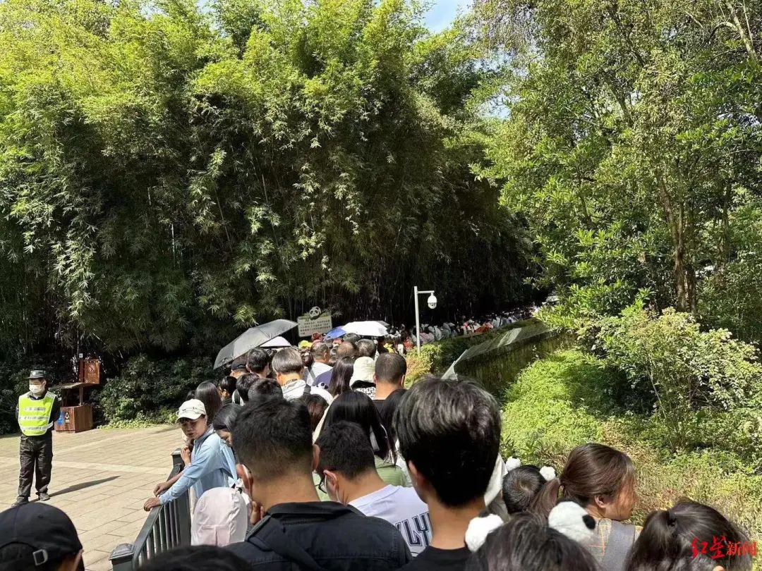 大美成都的正确打开方式,大美成都景美人更美