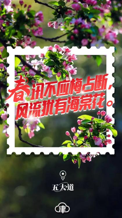 四月的天津,四月初的天津