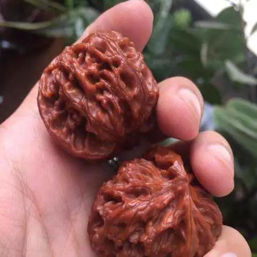 文玩核桃缝隙里黑色怎么清理,文玩核桃掉水里了可以用吹风机吗