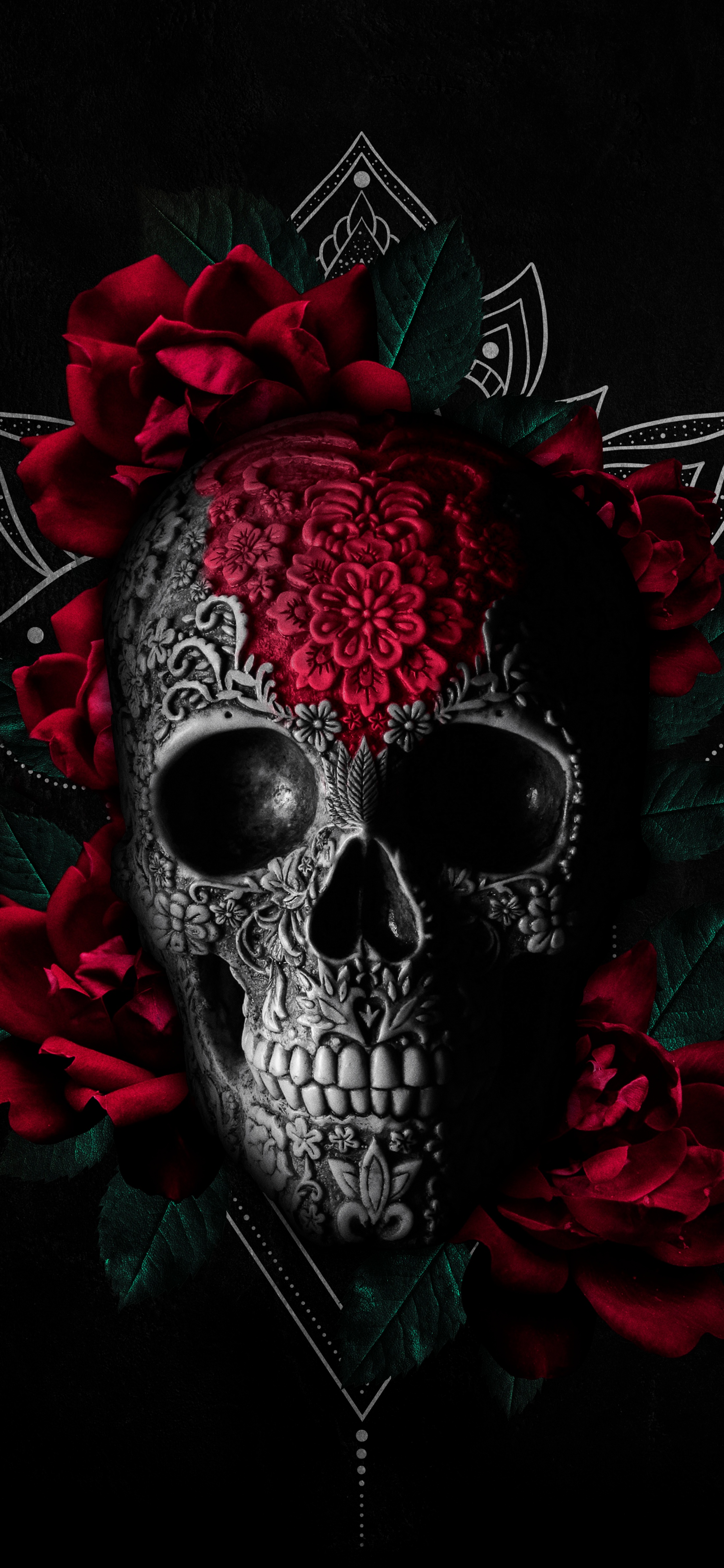 壁纸图集骷髅花,骷髅壁纸超清4k手机壁纸