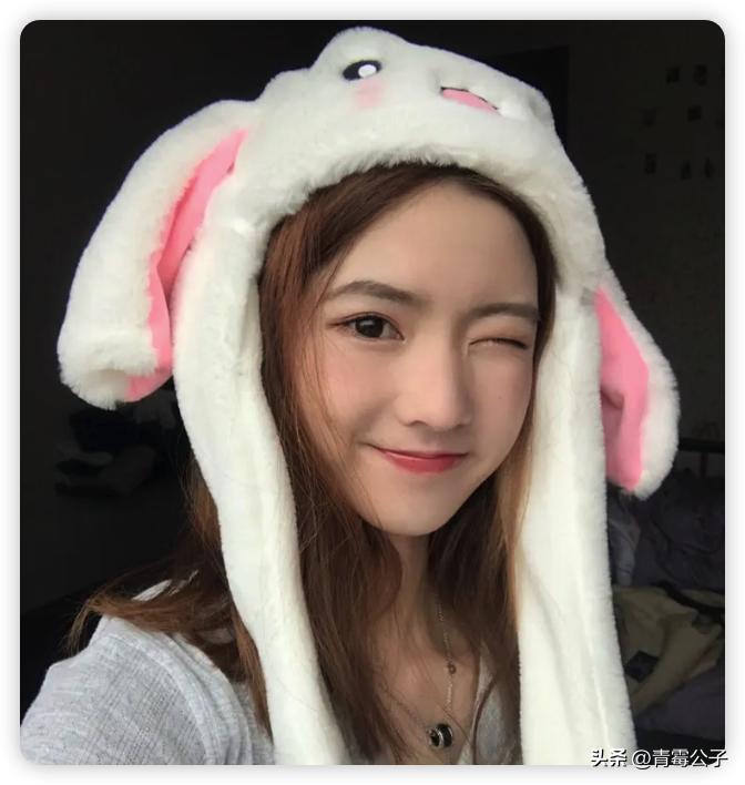 一只蓝色兔子是什么品种,一只蓝兔子