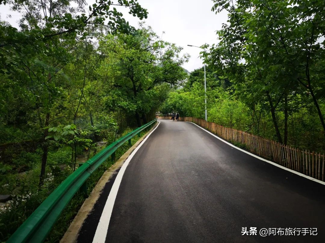 还没来得及去日本，却在秦岭来了趟值回东京票价的旅行