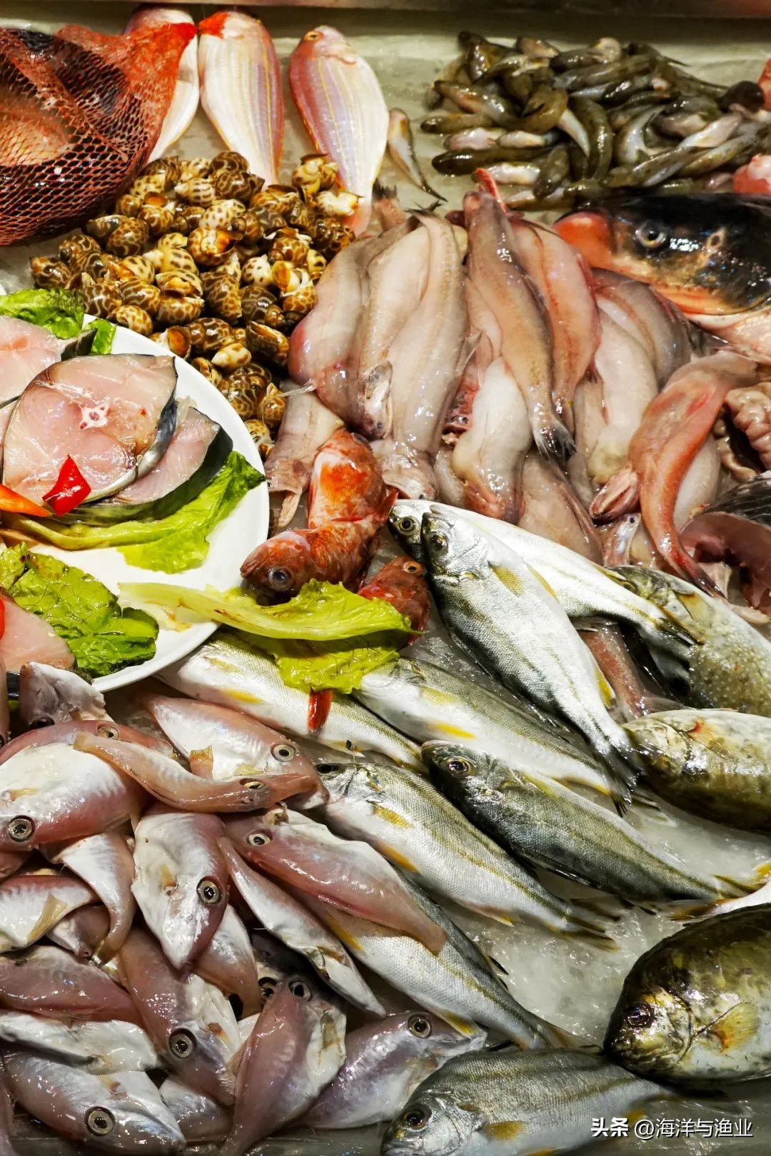 中国渔业海鲜之都,海鲜水产哪几个地方最出名