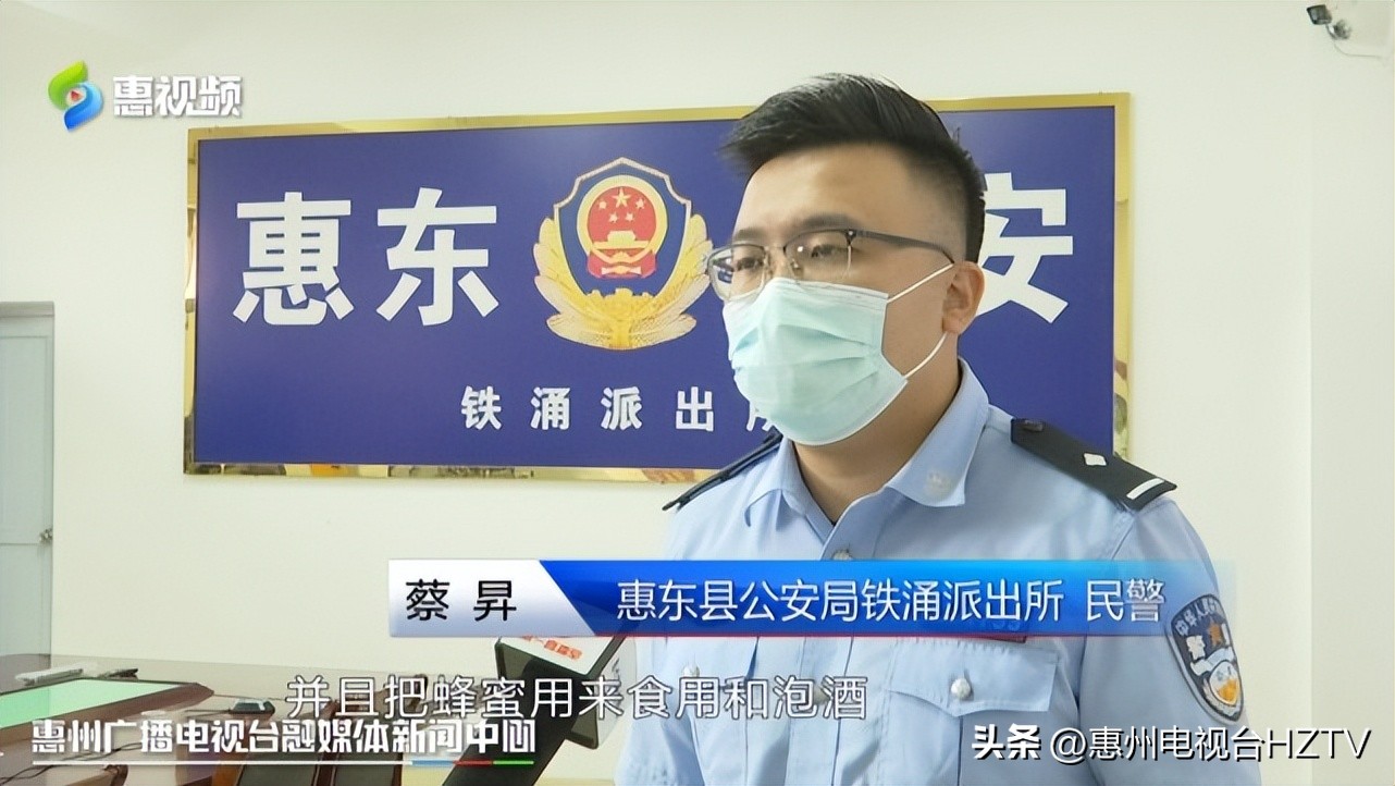 勤劳养蜂人蜜蜂竟被偷,养蜂场偷蜜蜂