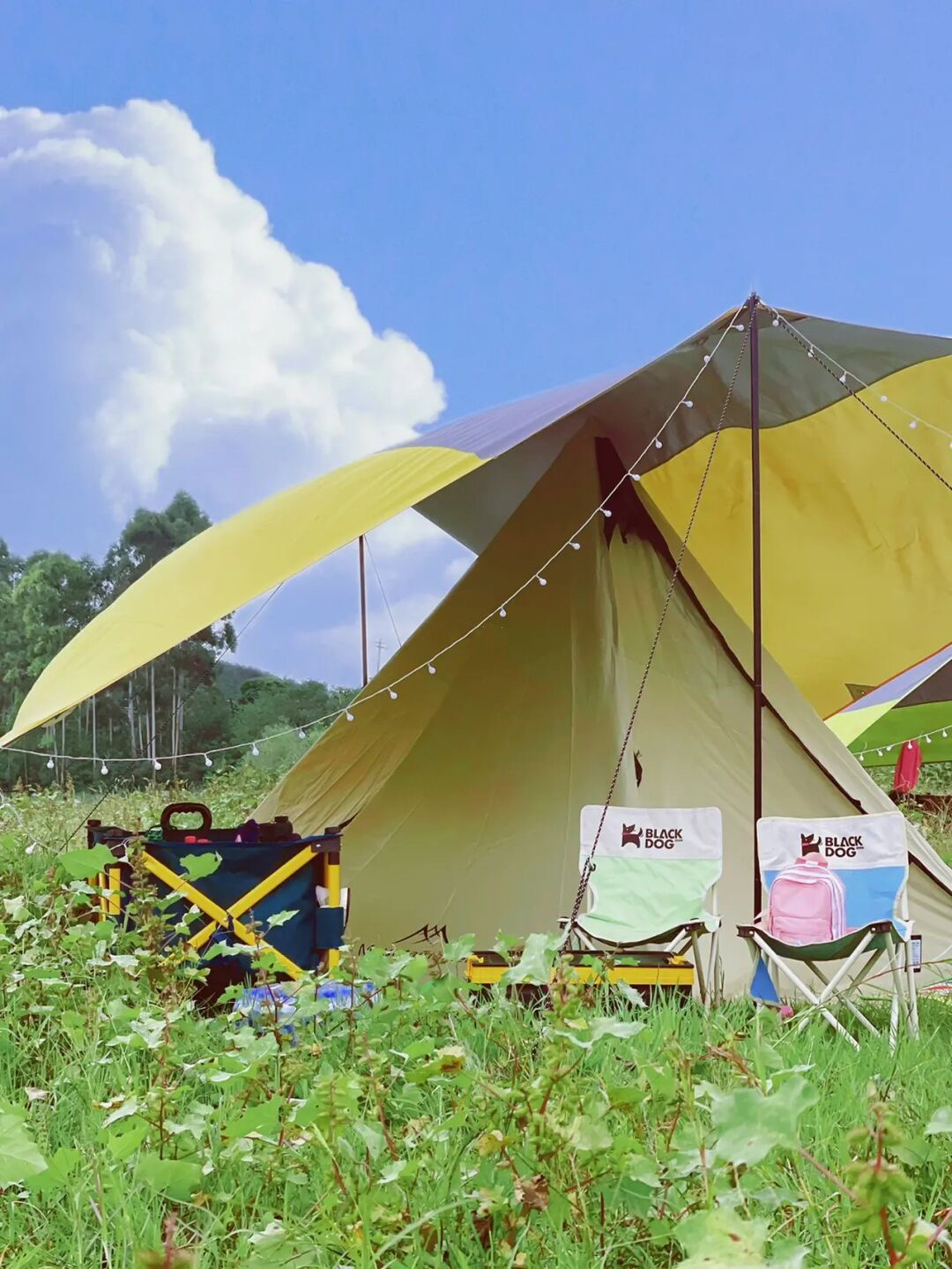 放假去哪里玩又便宜又好玩成都,假期去哪玩便宜又好玩儿成都