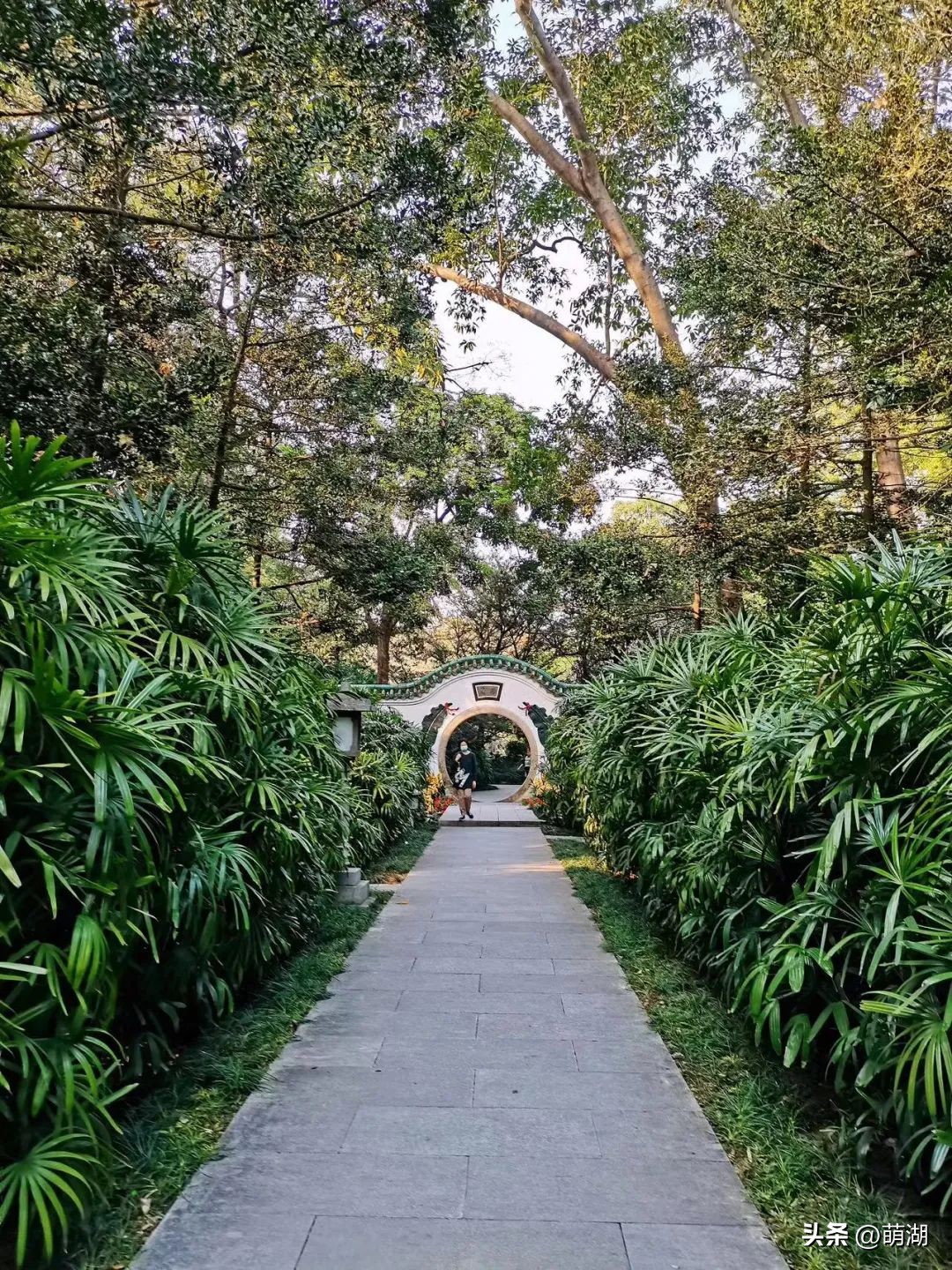 慢下来看风景静下来陶冶情操,慢下来享受安静的惬意时光