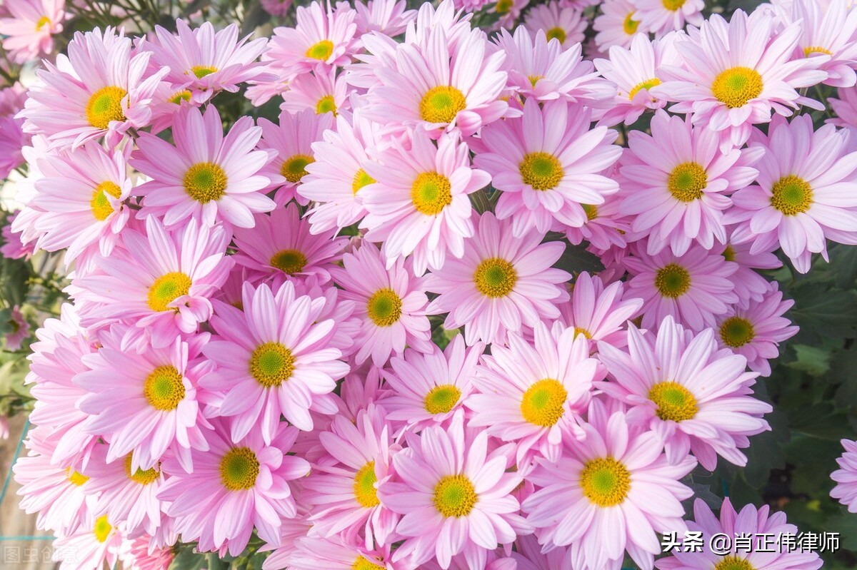 恋爱期间共同租房——分手后能否要求对方承担租金