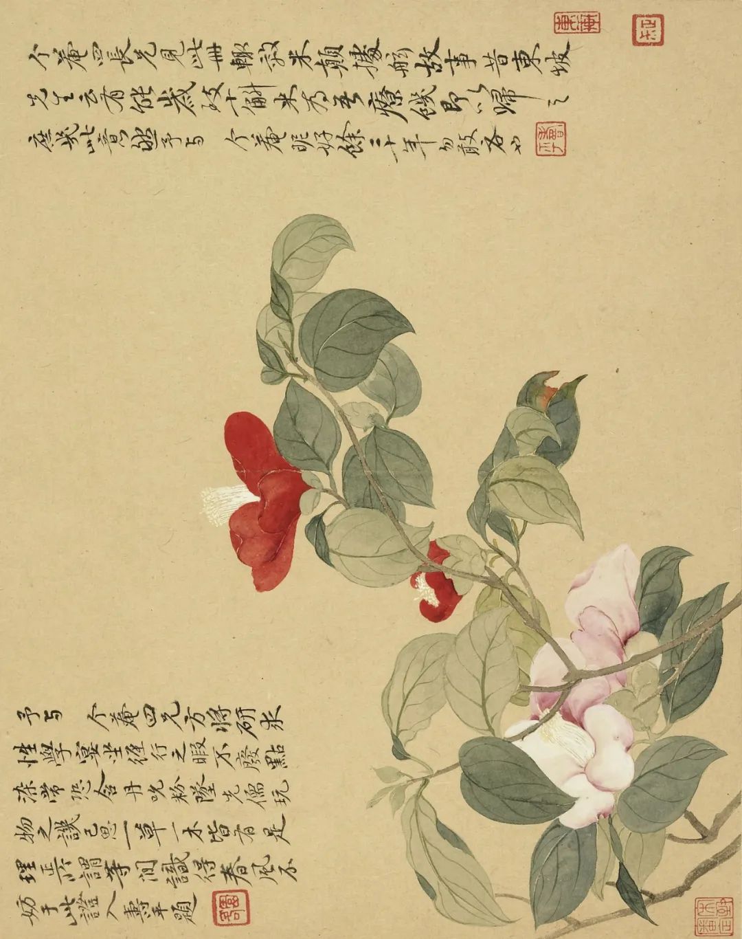 慕容看世界的视频,慕容看世界所有视频