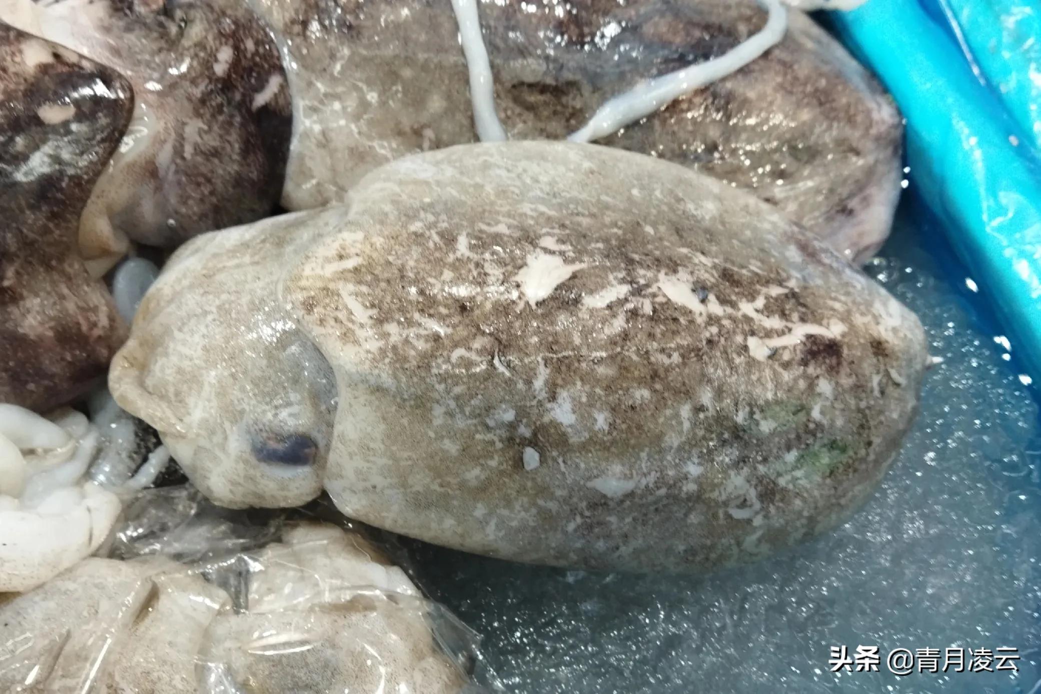 海鲜市场常见海产品图鉴,海鲜市场常见海产品图鉴表图例