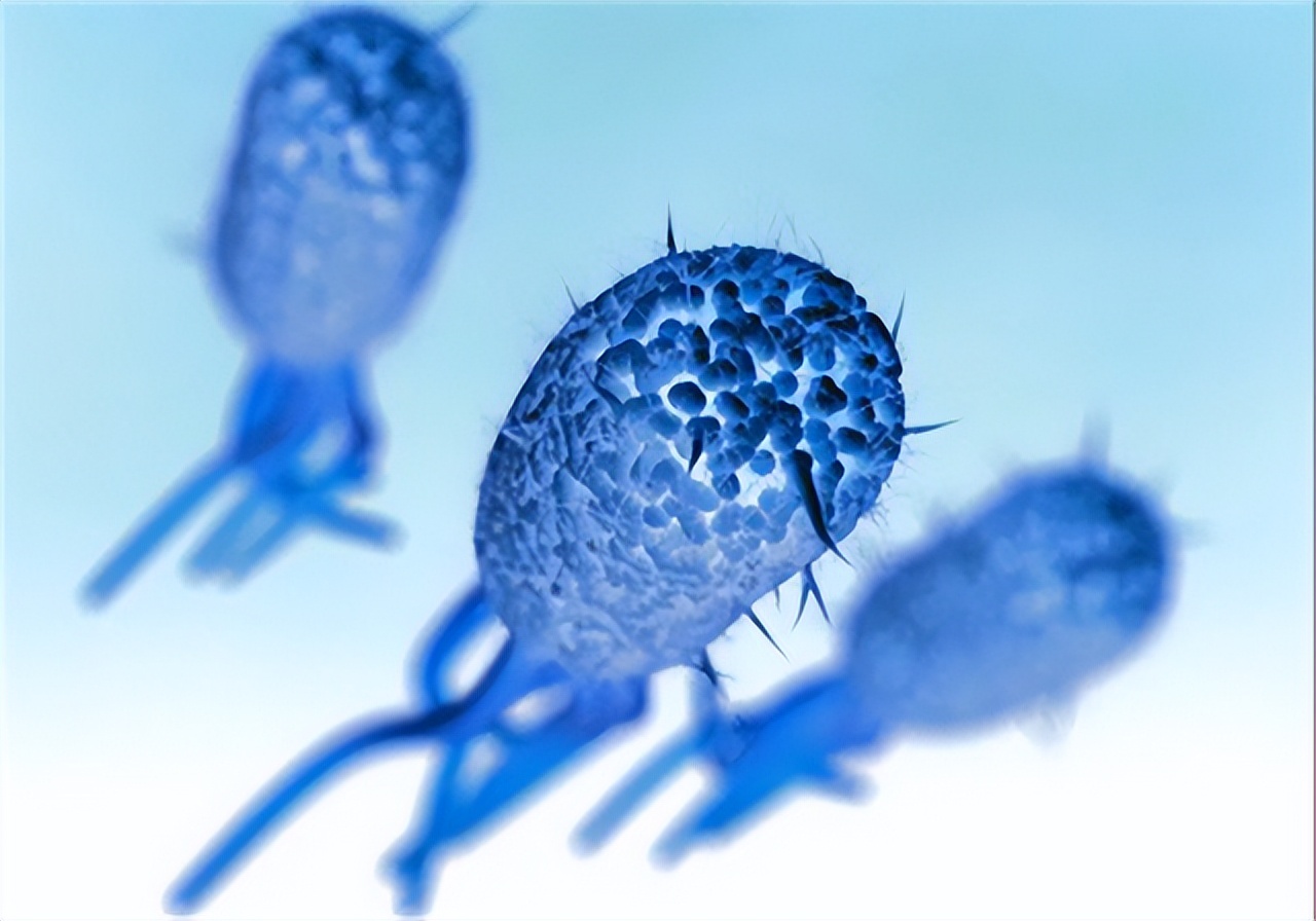 一直感觉大便拉不干净是怎么回事,大便感觉老是拉不干净是什么原因