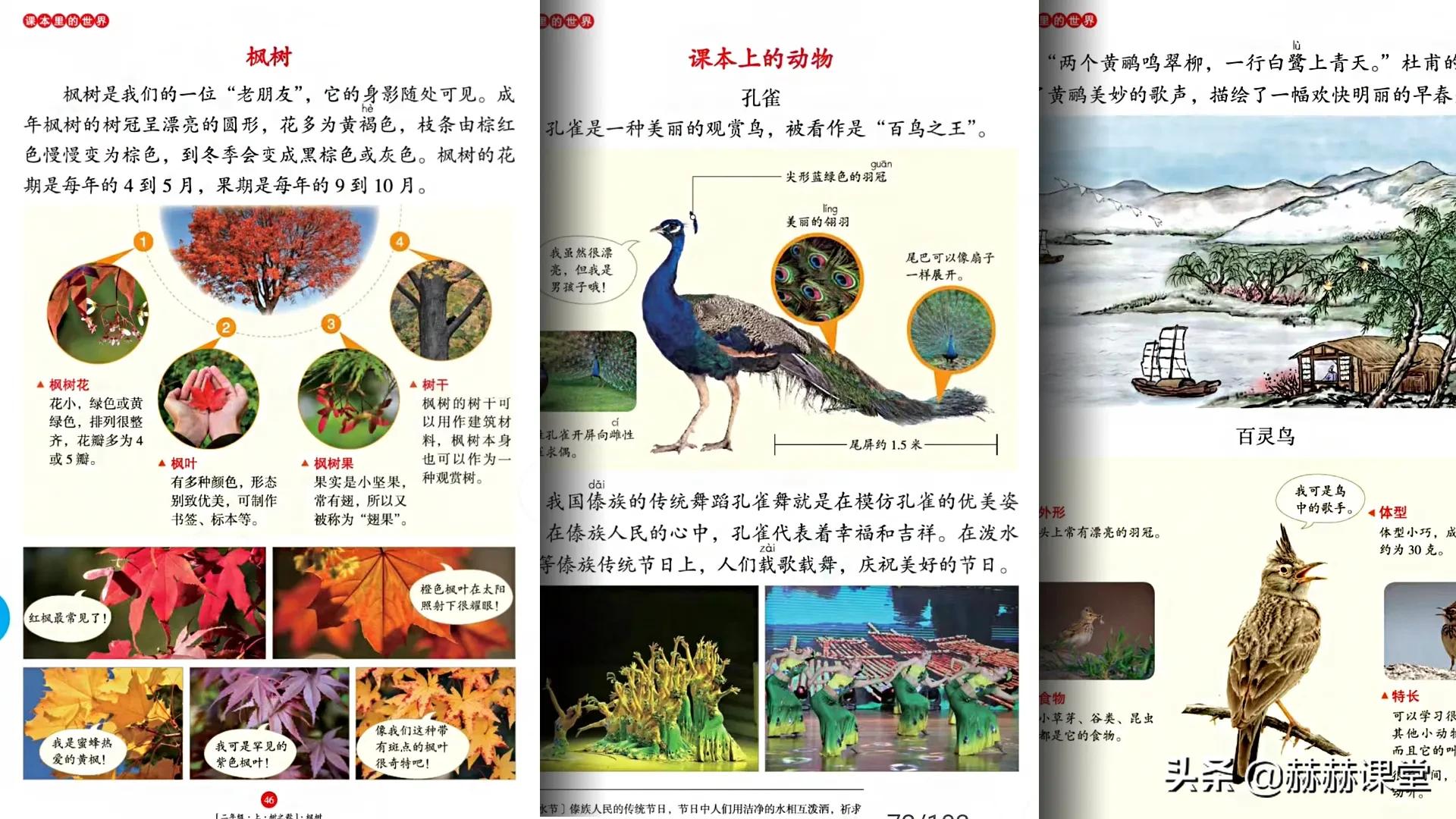 语文公认最好的小学教辅,用好这本教辅初中语文大逆袭