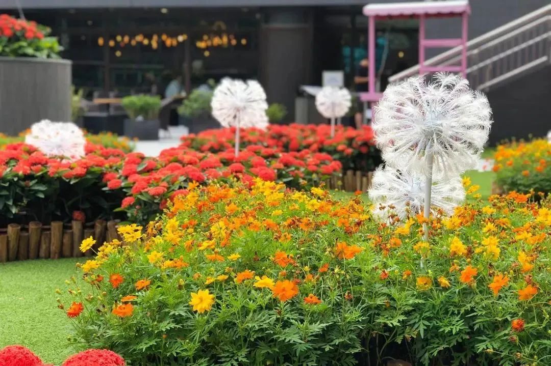 3年，终于等到香港通关！