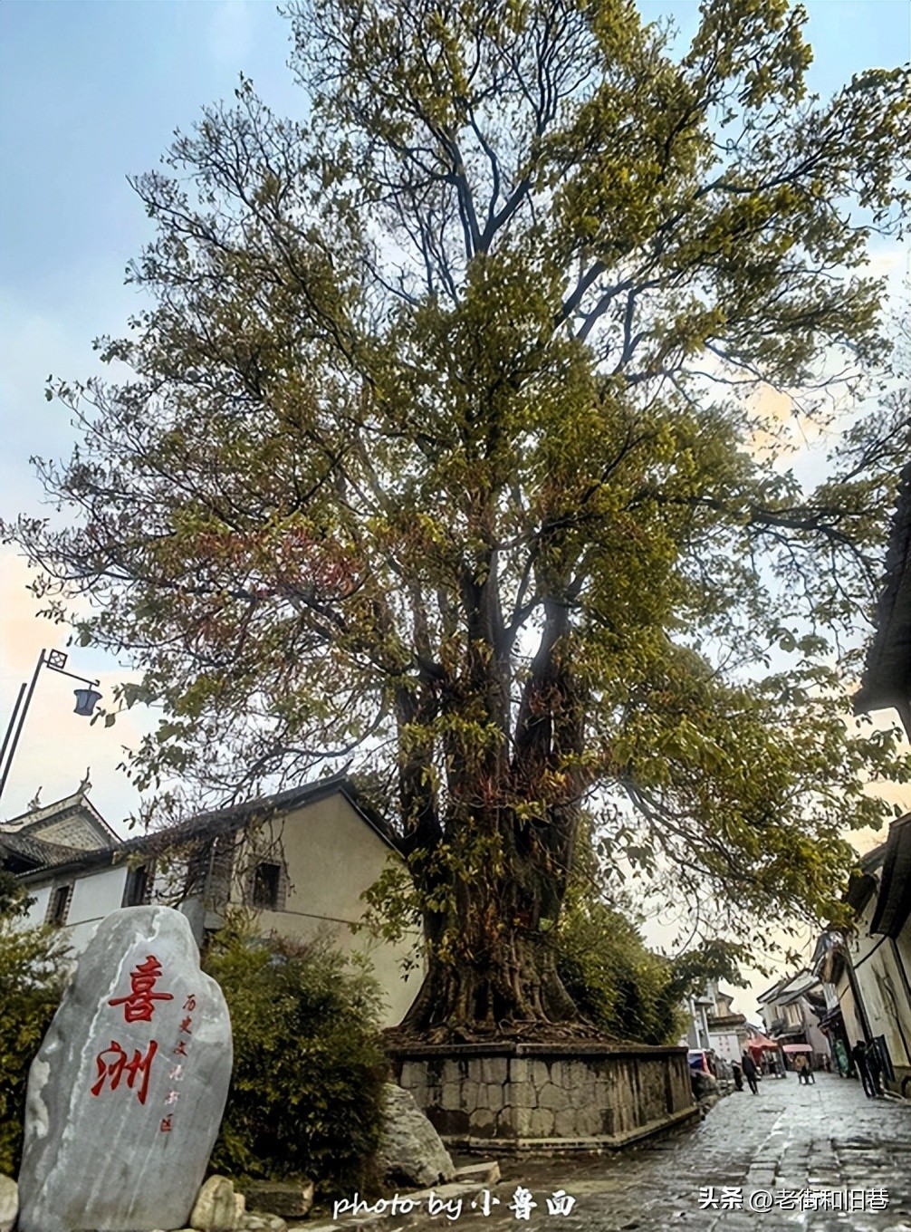 玩转云南自由行,昆明大理丽江6天5晚游多少钱