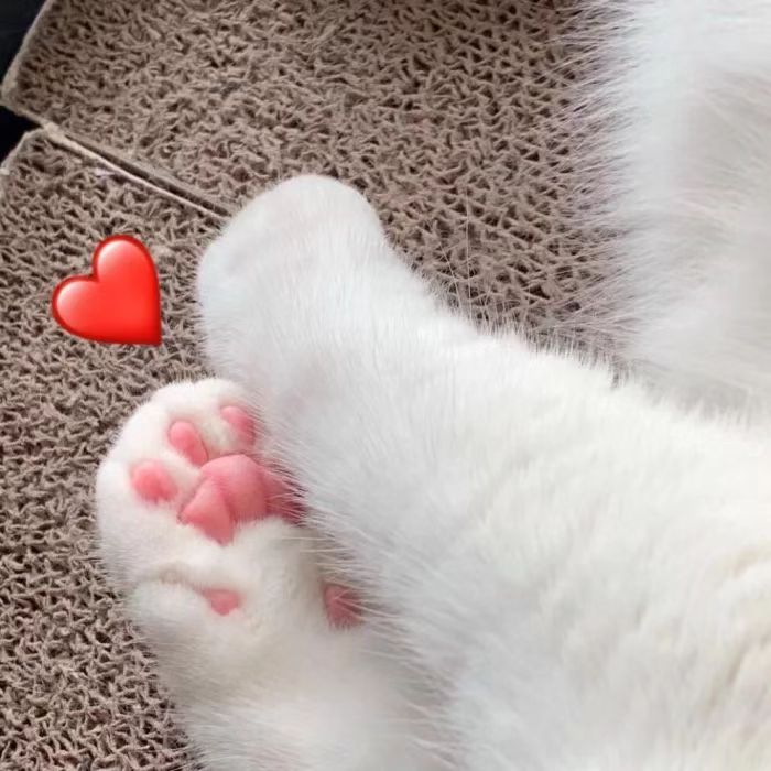 百元级防晒,百元防晒隔离