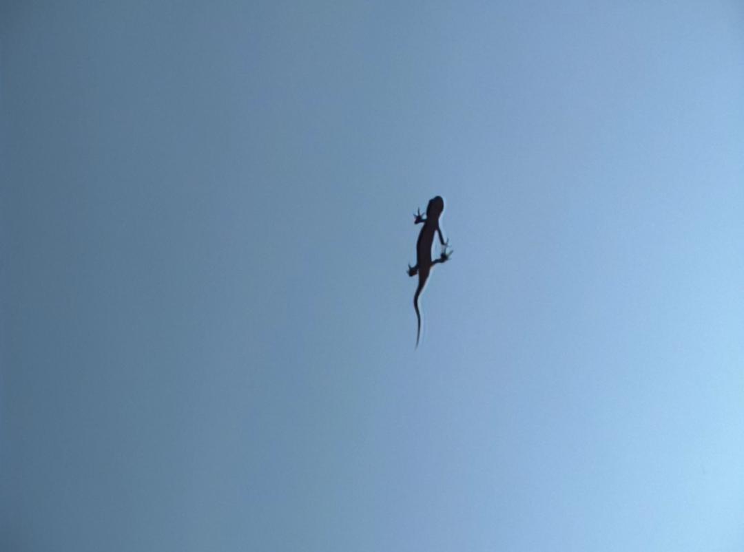 美人新剧尺度拉满，黑屋诱惑加激情肉搏，这么敢拍还是被吊打？