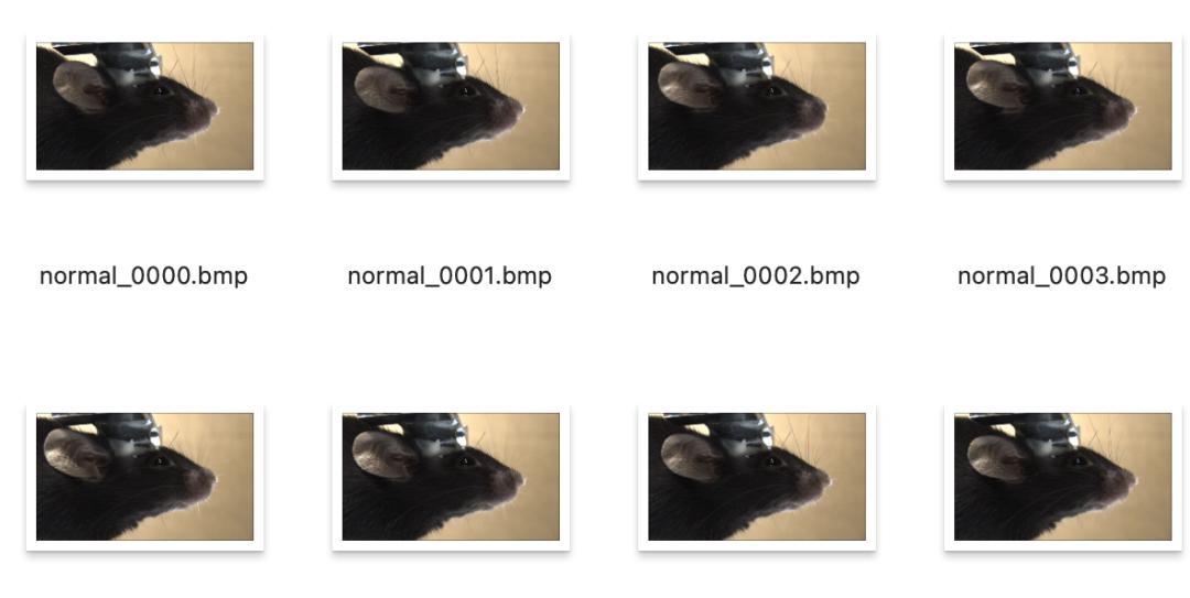 100+深度学习开源数据集分类汇总