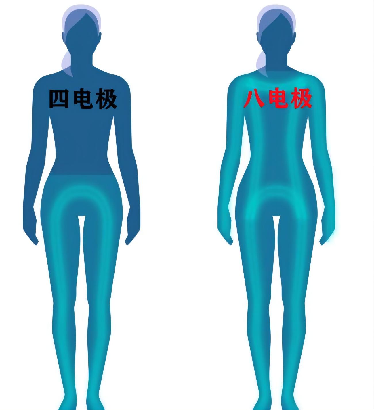 云康宝和华为体脂秤哪个准,云康宝体脂秤评测视频