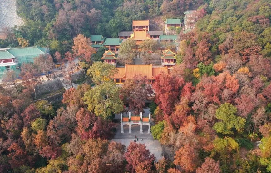 广州台山那琴半岛两日游,台山一日游必去景点牛山公园