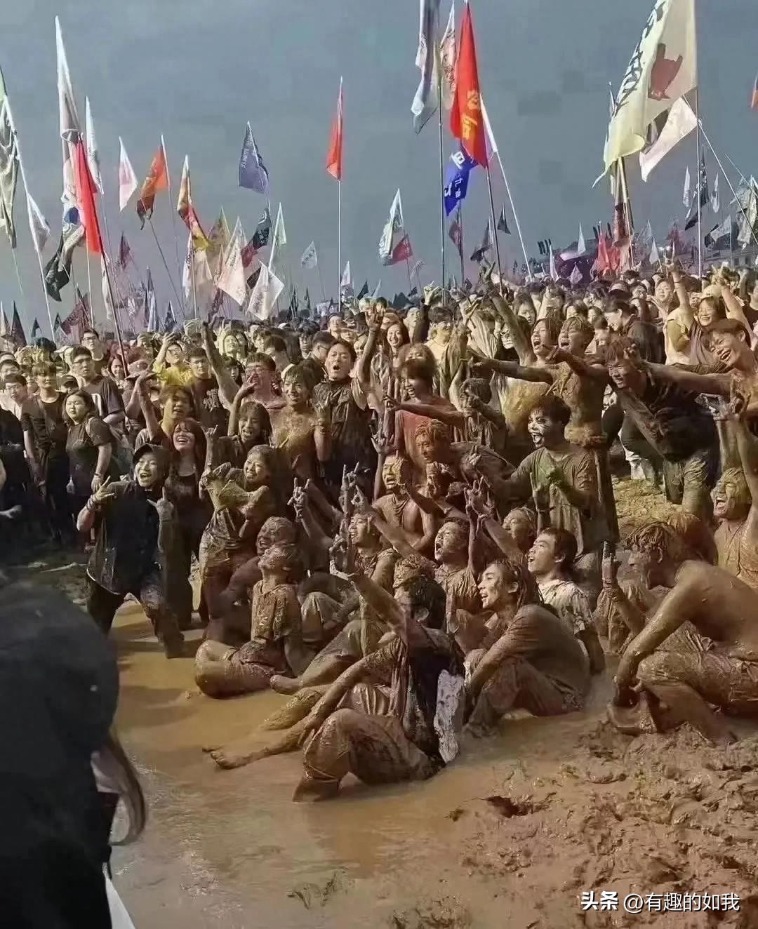 迷笛就乐迷财物被盗事件道歉,迷笛音乐节大量乐迷失窃事件