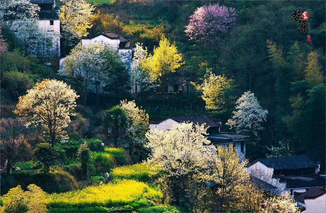 描写春天江南的绝美诗句,写江南春天美景最好的古诗词