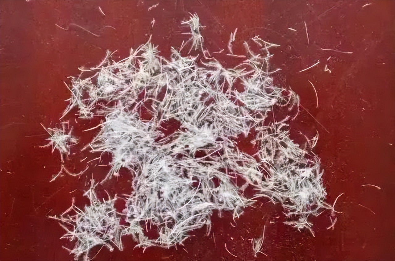 雅兰寝饰酒店用品在淘宝有吗,雅兰寝饰用品