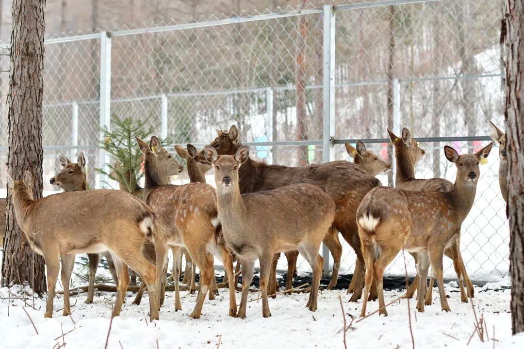 最新名单公示！14家单位上榜！