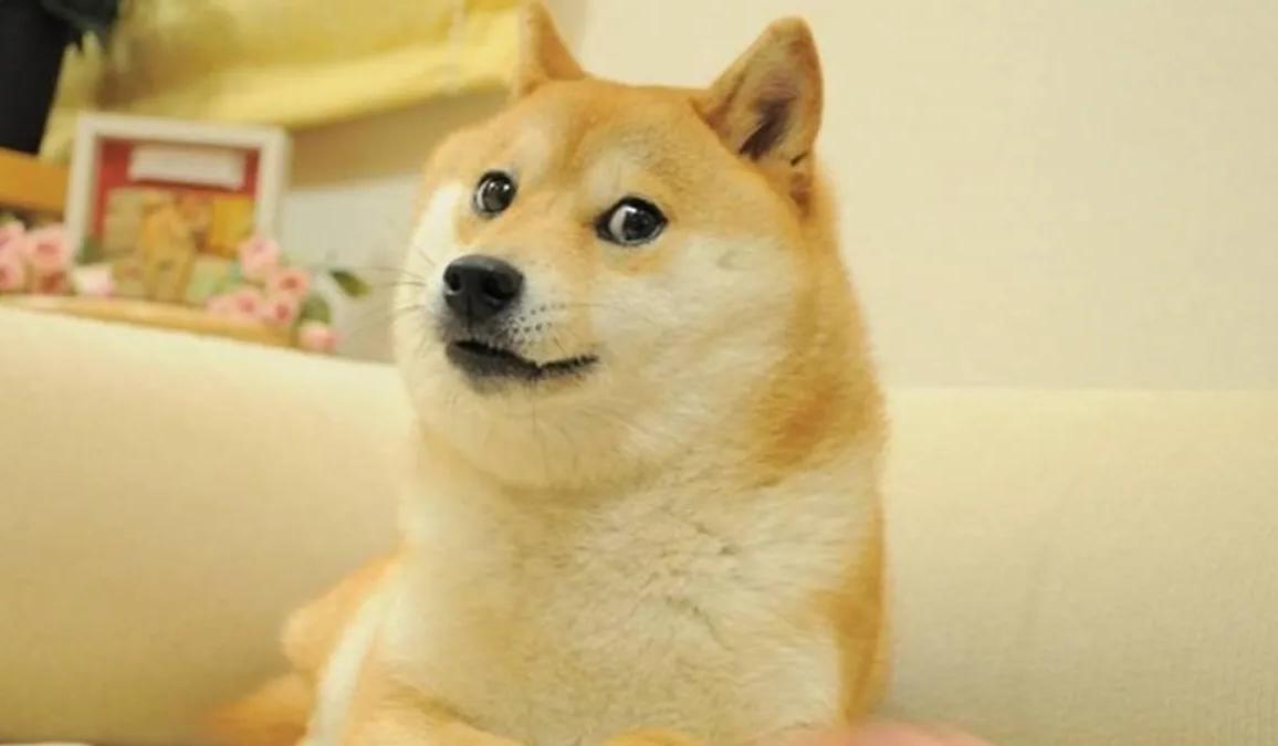 一文拆解“迷因币”来头，为何能爆红、被选入“百大加密货币”？