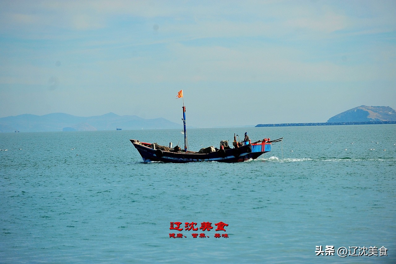 辽宁最好吃的海鲜在哪,辽宁海边海鲜哪里好吃