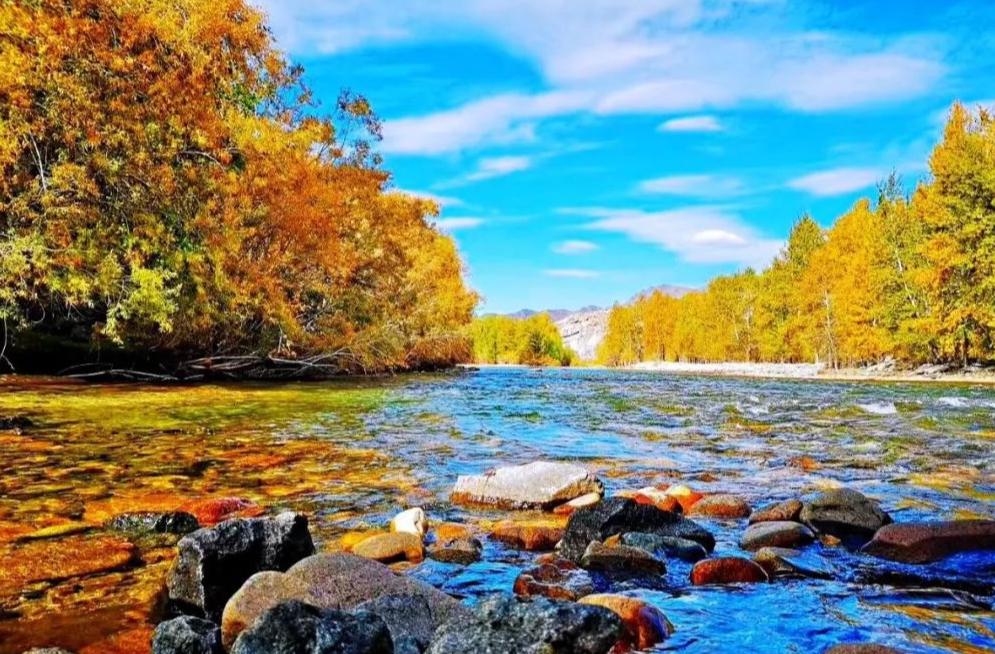 描写深秋景色优美的诗句,描写深秋优美句子古诗