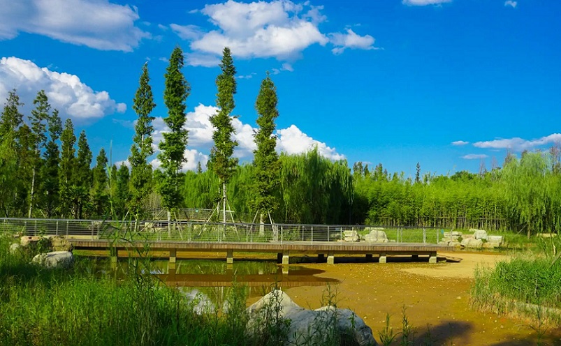 长沙冷门好吃的地方,长沙周边100公里以内小众冷门景点