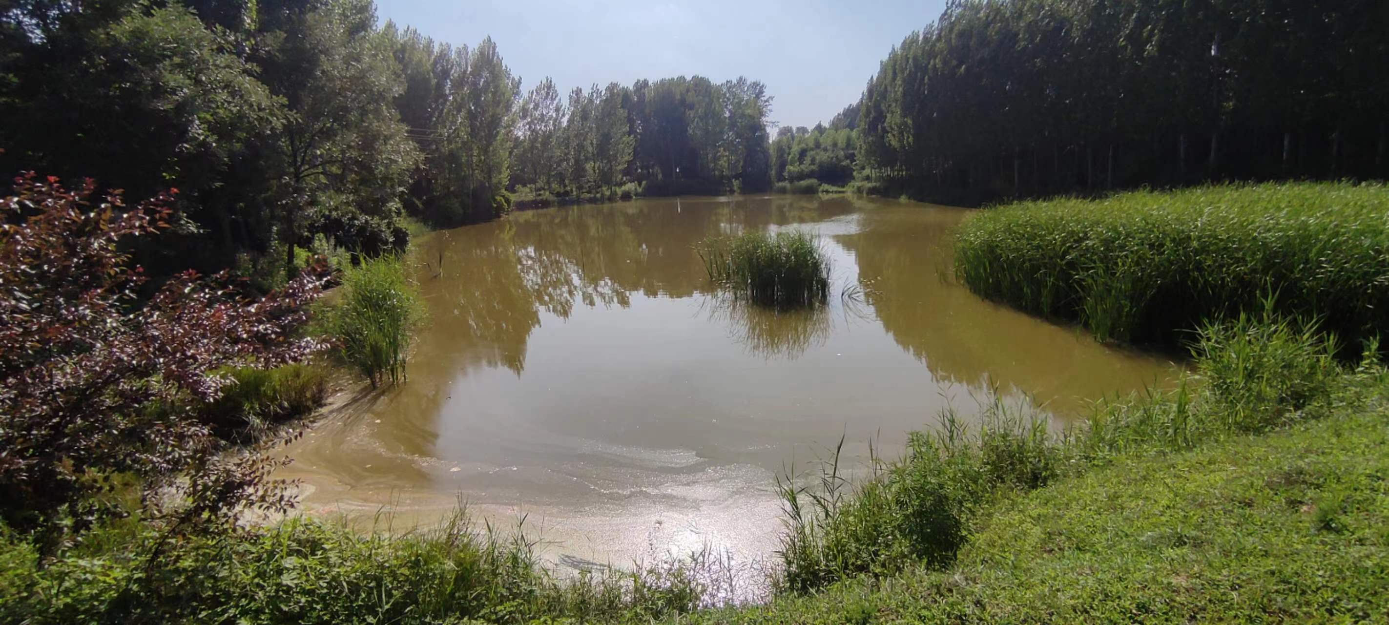 古中国考出彭蠡泽｜张笔魁