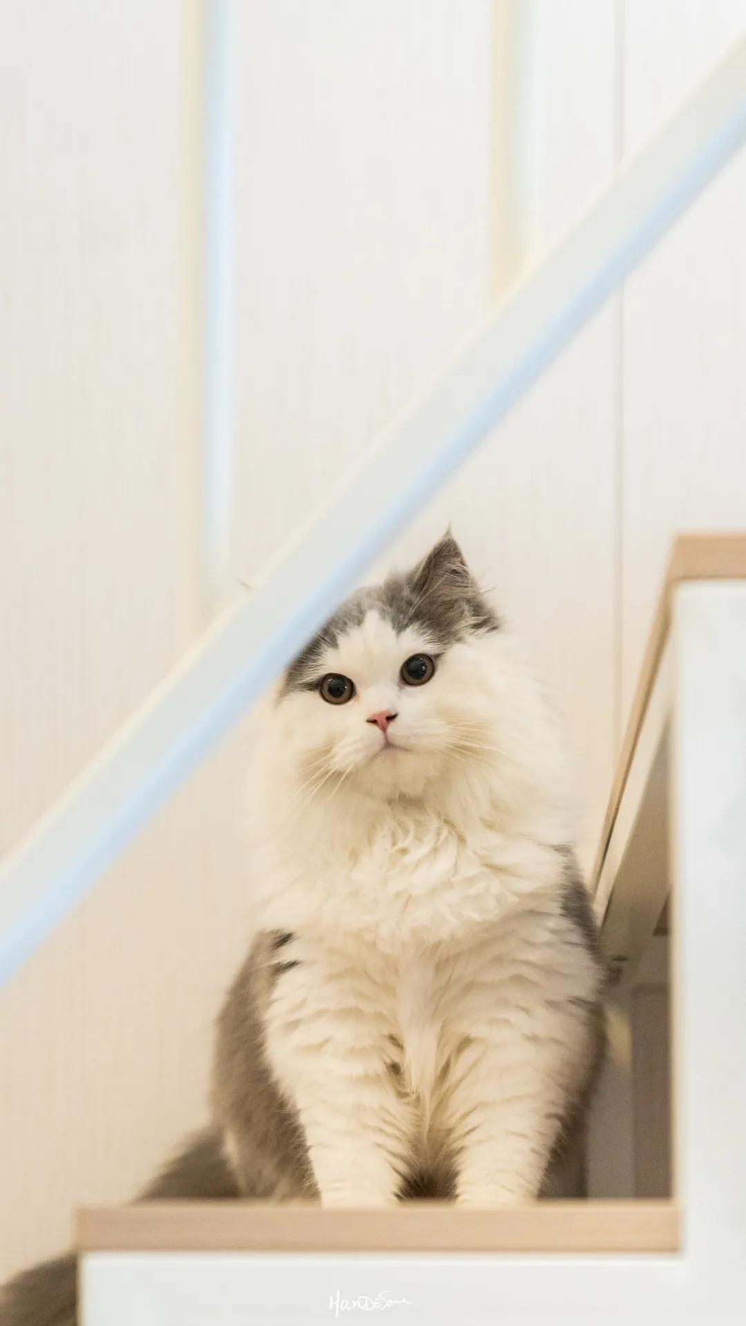 年轻人独居的三个方法,年轻人选择独居的原因是什么