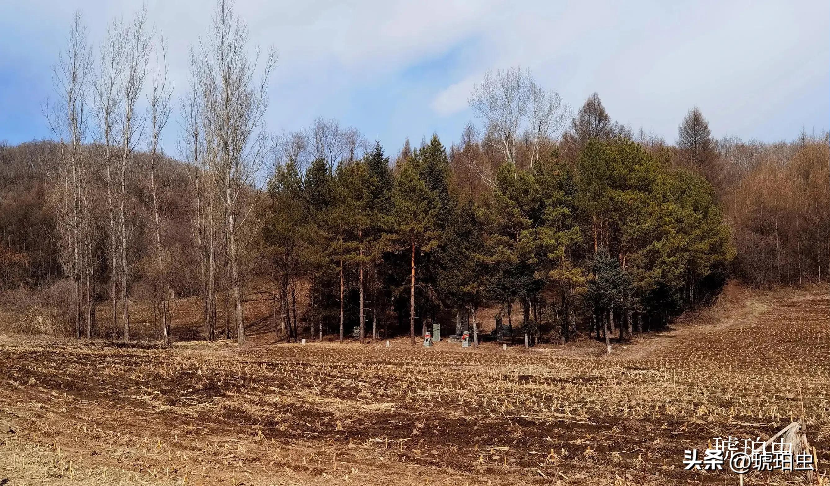 抗日战争中值得铭记的英烈,抗日英烈们有哪些