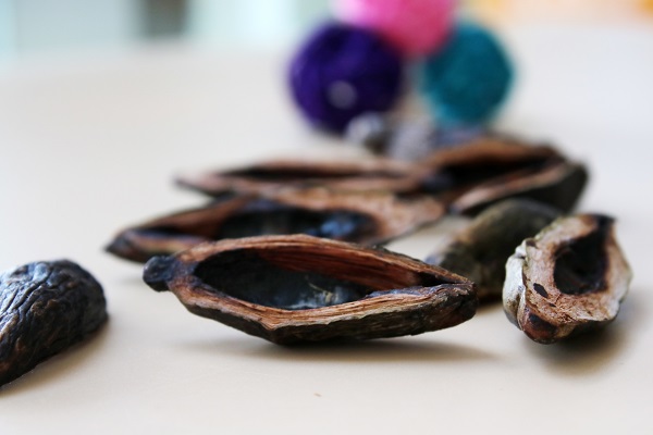 被列为致癌名单的四种蔬菜,哪三种蔬菜不能放进冰箱还会致癌