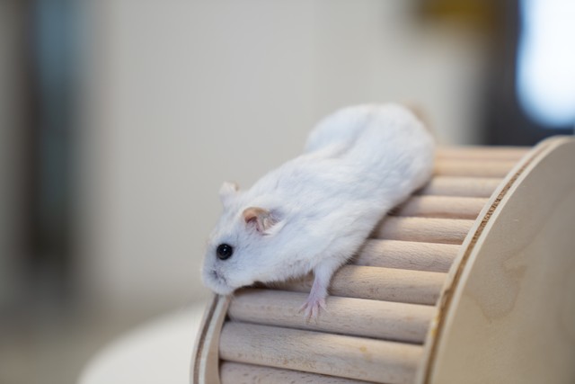 男生总是送我生活用品,男生老是送一些便宜的小礼物