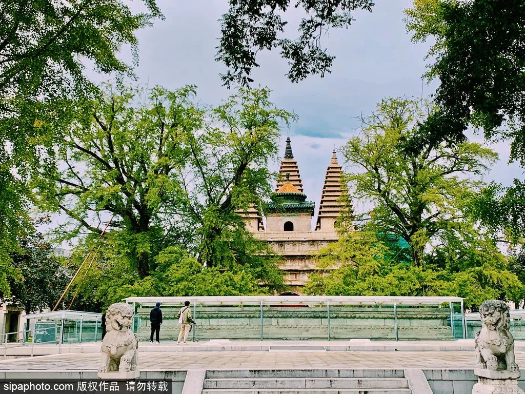 北京的小众博物馆有哪些值得去,北京周三免票的博物馆