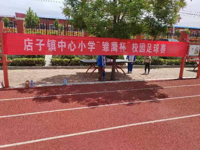 新区第五届中小学校园足球比赛,竞技足球引领校园足球