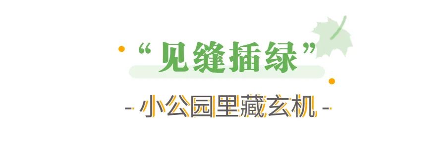 太仓周边好去处,太仓最佳去处